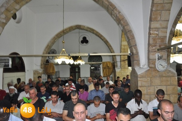 trawe7 7san bek 715 (7).JPG